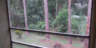 2/2 Condo Screen Porch, Pool Complex Gallery 20