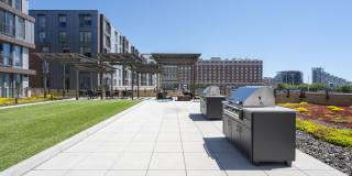 Flats on D Gallery 10