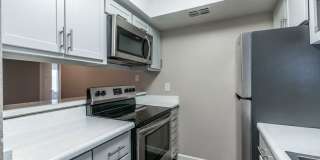 Rise on Cactus Gallery 62