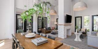 The Caroline Gallery 9