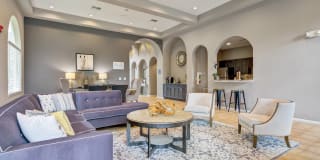 PeakView by Horseshoe Lake Apartments Gallery 21