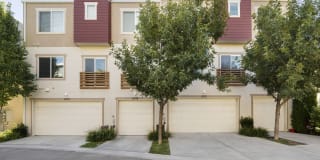 Olympus at The District Gallery 15