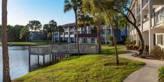 Cameron Cove Gallery 22