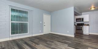 Bellevue Towers Gallery 81