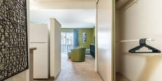 The Falls Gallery 34