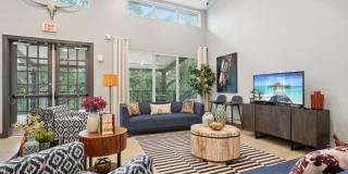 Oak Valley Gallery 27
