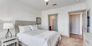 Palo Verde Gallery 16