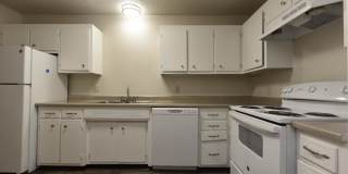 Noah's Landing Gallery 16