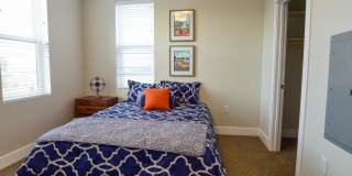 The Bungalows on the Lake - The View Gallery 63