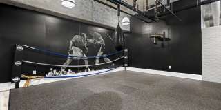 Allure Hermann Park Gallery 38