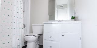 Willow Springs Gallery 45