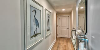 27 Atlantic Apartments Gallery 23