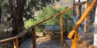 3543 Poppy Gallery 1