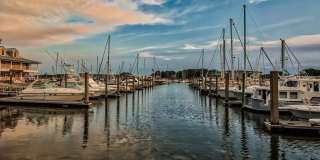 The Port at East Beach Gallery 4