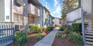 Sunnyvale Crossings Gallery 15