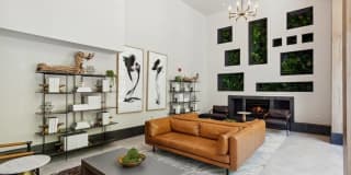 Arrive Silver Spring Gallery 42