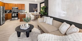 Cadence at Cates Creek Gallery 1