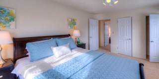 HOMESTEAD APARTMENTS Gallery 6