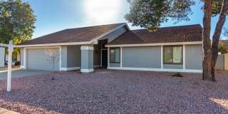 Fantastic Chandler Home Without Carpet! Gallery 27