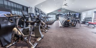 TGM Willowbrook Gallery 22