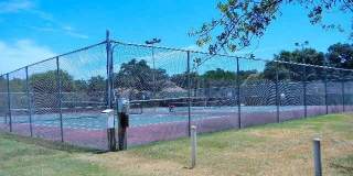 9731 KNOB OAK Gallery 16