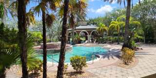 6470 Borasco Drive Gallery 16