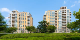 Harrison at Reston Town Center Gallery 2