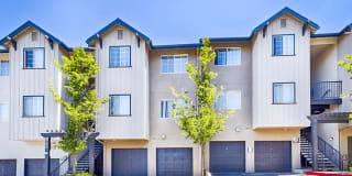 Crooked Oak Gallery 27