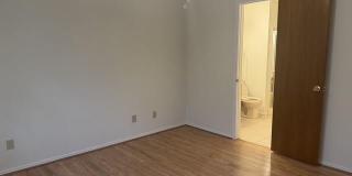 95 Easley LOOP Gallery 11