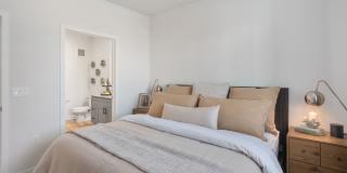 Prose Ascend Gallery 15