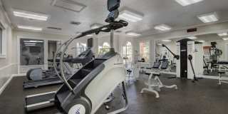 Victoria Place Gallery 68