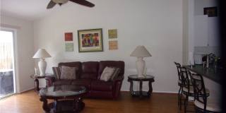 2007 Colonade Street Gallery 5