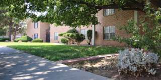 Somerset Park Gallery 22