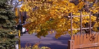 225 Place Apartments Gallery 25