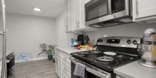 Fully Renovated Modern Apartments Gallery 10