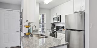 Luna Pointe Gallery 1