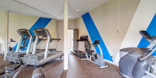 Deerfield Gallery 12