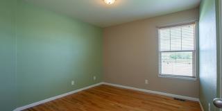 5 Bedroom Home in Windsor Colorado Gallery 22
