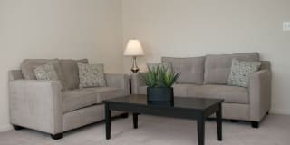 Wood Lee Arms Gallery 6