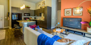 Harmony Luxury Apartments Gallery 5