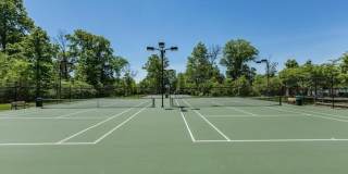 24673 NETTLE MILL Square Gallery 49