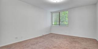 14101 Dickens St Gallery 19