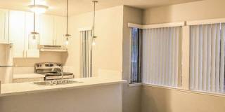 The Peacock Gallery 3