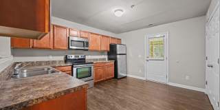 Welcome to Acorn Forest! Gallery 7