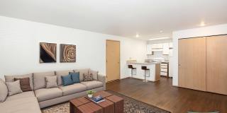 Cedar Park 8 Gallery 7