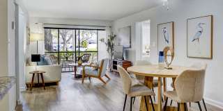 Emerald Palms Gallery 2