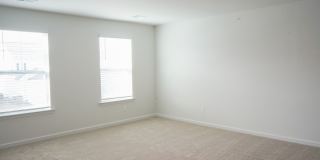 Available Soon! Gallery 21