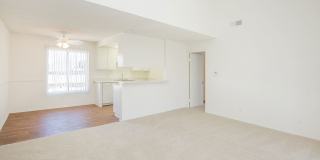 McComber Creek Gallery 16