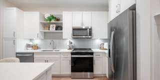 Alta Citron Gallery 39