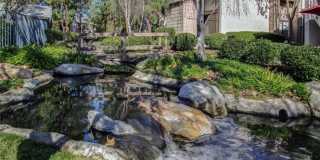 26701 Quail Creek Gallery 24